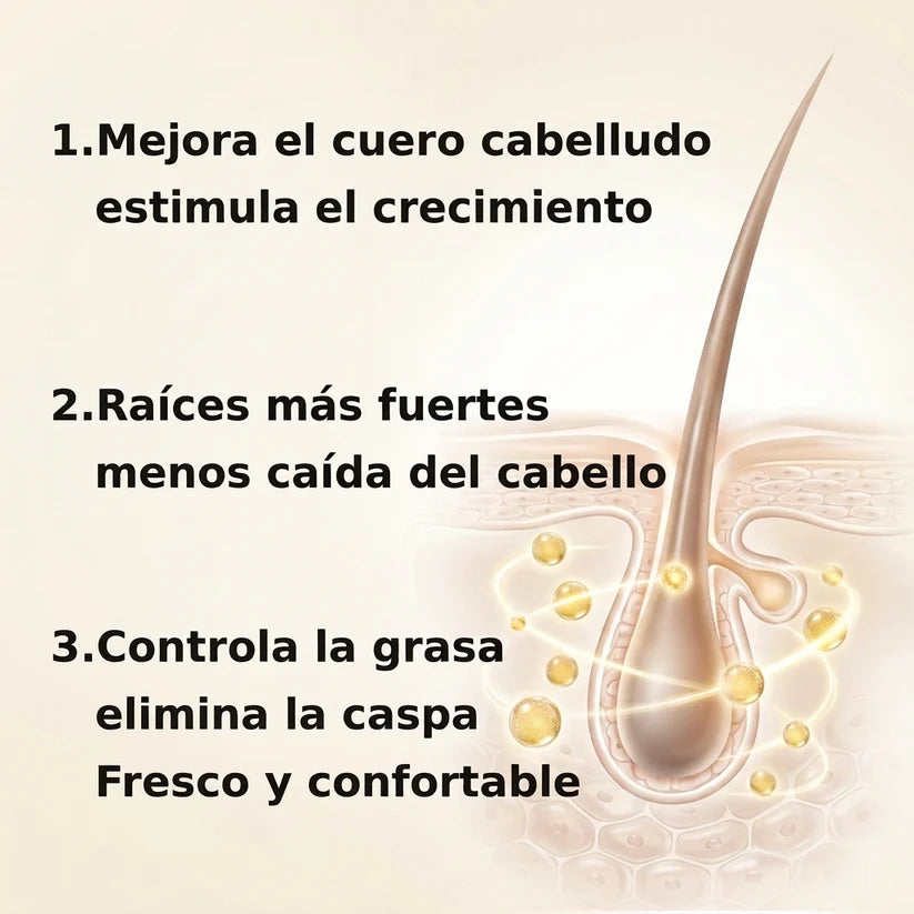 Champu Anticaida Capilar