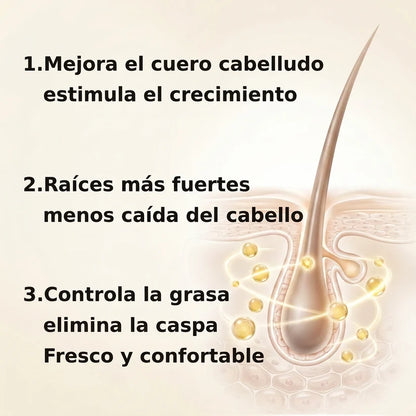 Champu Anticaida Capilar